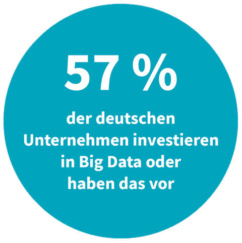 Deutsche Unternehmen - Investment in Big Data