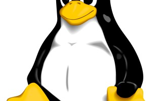 Linux: Zur Sicherheit neue Pakete