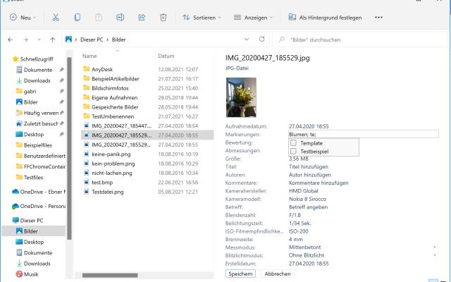 Ein Bild im Datei-Explorer mit gesetzten Markierungen