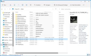Windows-Explorer mit eingeblendetem Detailbereich