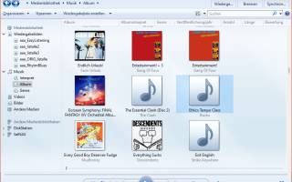 Der Windows Media Player mit einigen Album-Covern