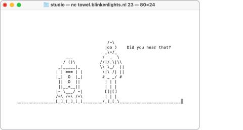 Der Screenshot zeigt die beiden Androiden R2D2 und C3PO als ASCII-Zeichen