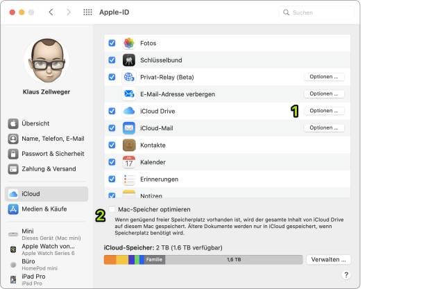 Der Screenshot zeigt die Mac-Einstellungen zur iCloud