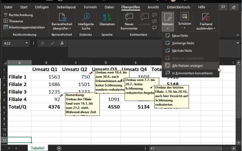 Excel-Tabelle mit eingeblendeten Notizen-Feldern, in denen der Text teilweise abgeschnitten ist