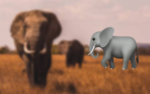 Ein Elefant in der Savanne
