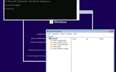 Screenshot zeigt Installationsbeginn mit Konsolenfenster und Registry-Editor