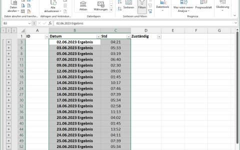 Excel-Liste mit addierten Stunden pro Tag
