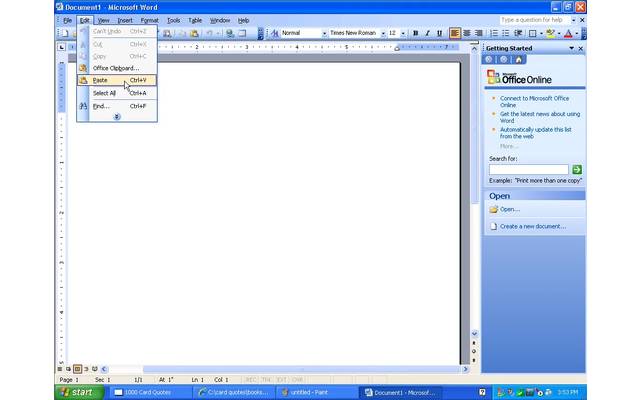 Microsoft Word 2003 Document Editing (2003)
