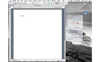 Microsoft Word 2004 for Mac Document Editing (2004)