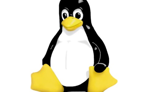 Angriff auf den Linux-Kernel