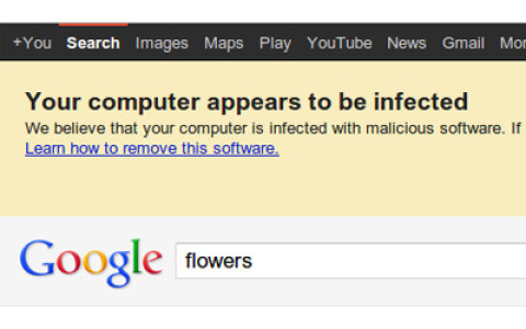 Google-Suche warnt Opfer von DNSChanger