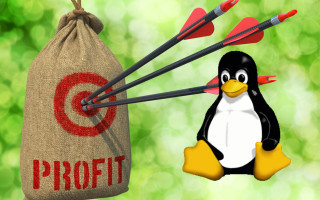 Profite mit Linux
