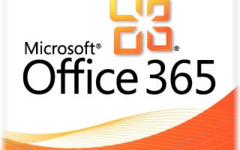 Microsoft startet Office-Dienst in der Cloud