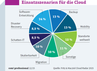Einsatzszenarien für die Cloud: Die IT-Führungskräfte setzen bei der Cloud auf ein breites Spektrum an Einsatzszenarien. Am häufigsten nutzen sie Cloud-Lösungen für Entwicklungszwecke, für Backups und für Mobility-Lösungen.