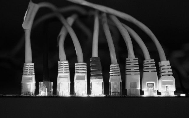 Netzwerkkabel an einem Router oder Switch
