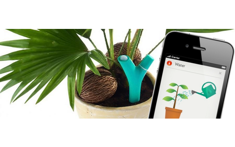Der Bluetooth-Pflanzensensor Parrot Flower Power weiß immer, wie es um Ihre Pflanzen steht: Das Gerät misst Lichtstärke, Umgebungstemperatur, Bodenfeuchtigkeit und Düngerstand.