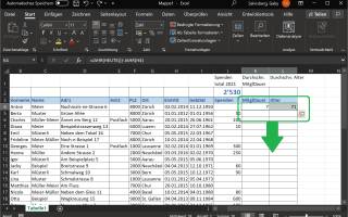 Screenshot Excel