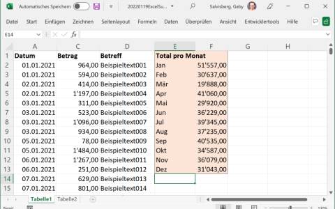 Screenshot einer Excel-Tabelle mit Summen pro Monat