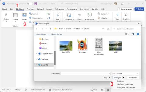 Der Screenshot zeigt, mit welchen Optionen eine Bilddatei in ein Word-Dokument importiert werden kann