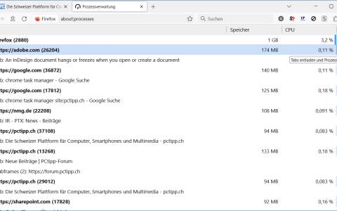 Screenshot des Firefox-eigenen Task-Managers