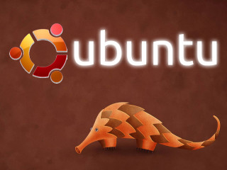 Ubuntu: Im zweiten Netzwerk-Szenario verwenden Sie einen Windows-PC und ein Notebook mit Ubuntu.