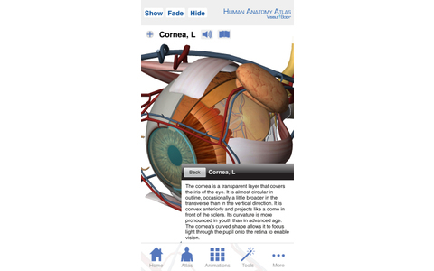 Human Anatomy Atlas - Die App bietet Informationen und Grafiken zu über 3.800 anatomischen Strukturen in 3D. 