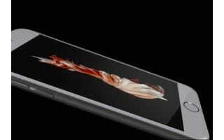 iPhone 6S Display