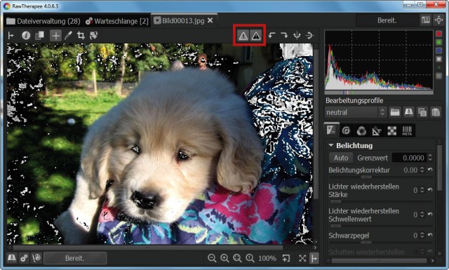 Bilder aufhellen: Klicken Sie auf eines der Warnsymbole, um zu dunkle oder zu helle Bereiche in einem Bild hervorzuheben.