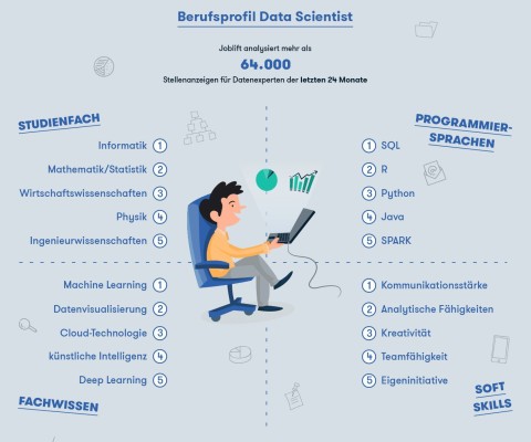 Jobprofil Data Scientist